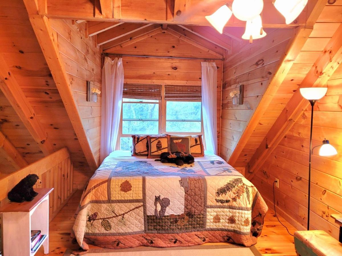 Luxury With Waterview And Privacy, Hiking Blue Ridge